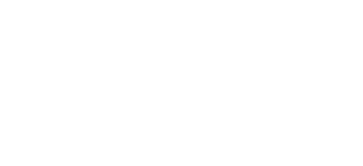 The Toxteth